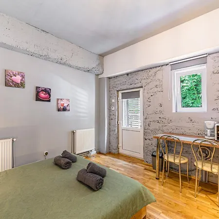 Lägenhet Charming With Garden & Parking Braşov