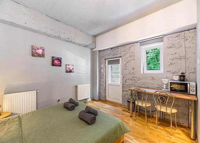 Apartment Charming With Garden & Parking Brasov